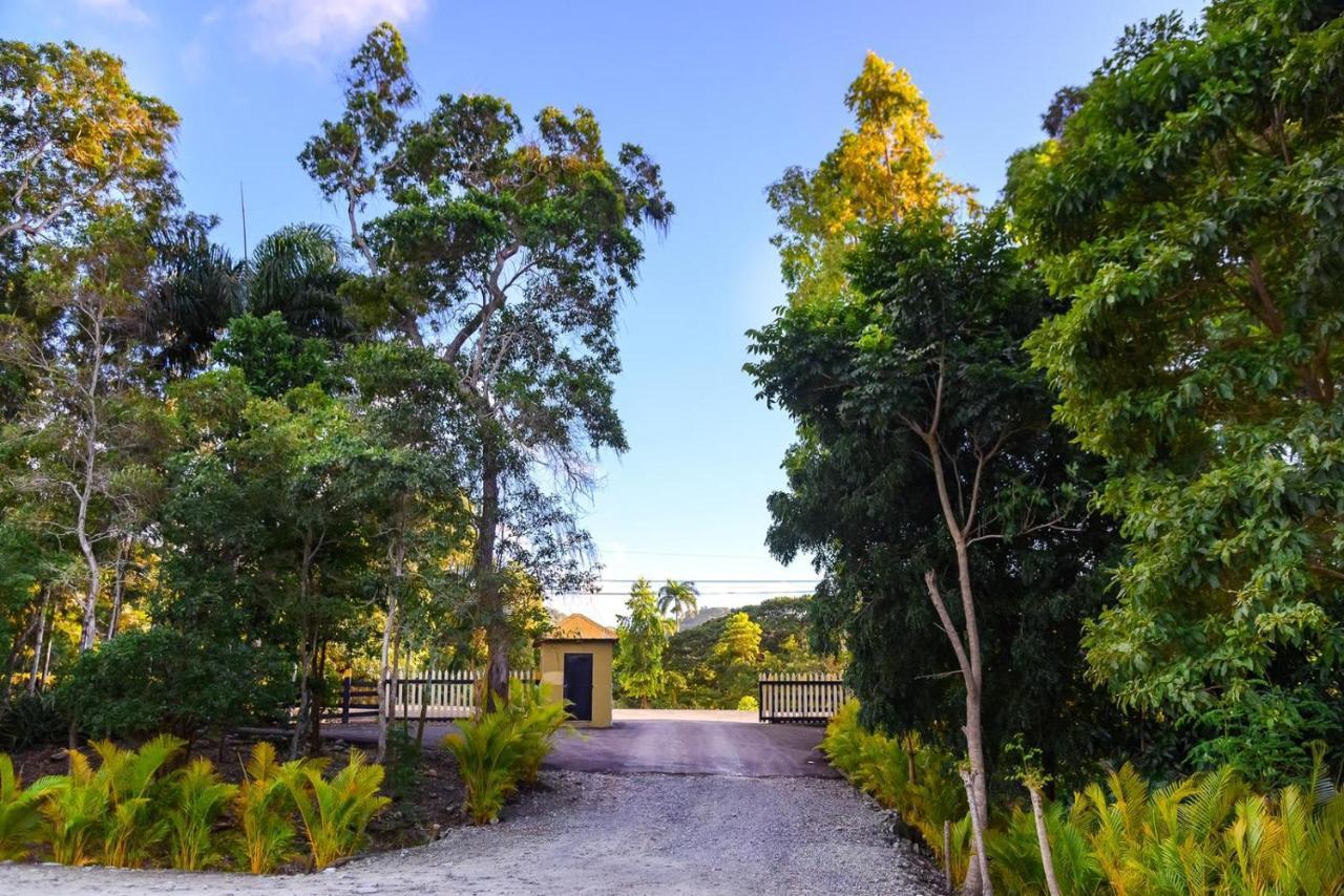 Vila Hacienda La Huerta Puerto Plata, 1 Bdr Exteriér fotografie