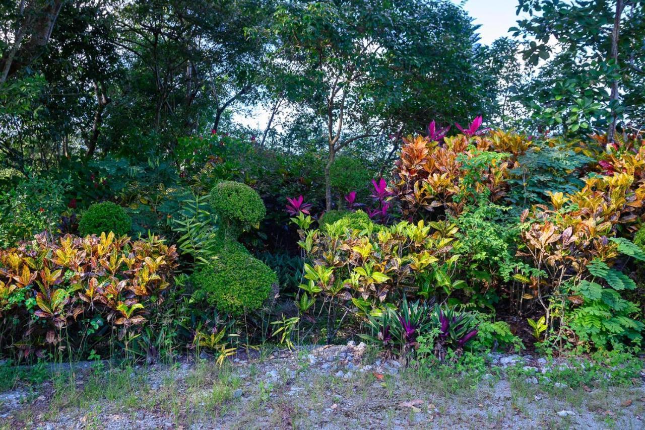 Vila Hacienda La Huerta Puerto Plata, 1 Bdr Exteriér fotografie
